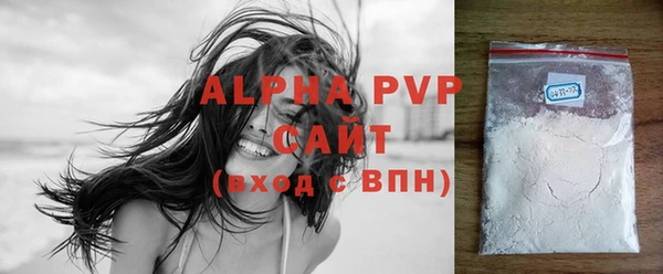 молекула духа Осташков