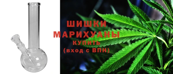 молекула духа Осташков
