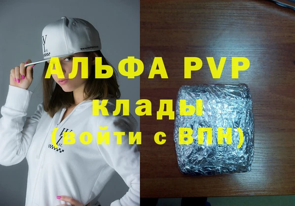 молекула духа Осташков