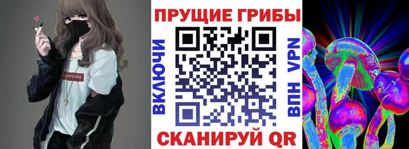 Галлюциногенные грибы MAGIC MUSHROOMS  Сорск 