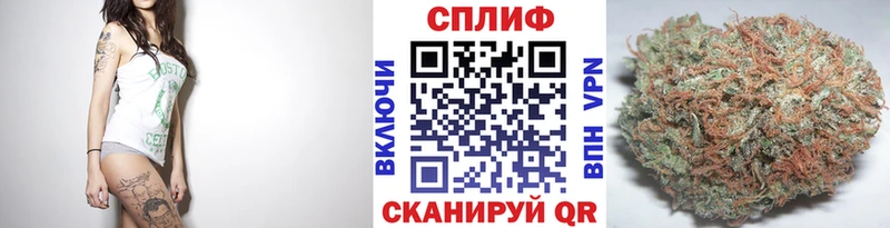 Канабис семена  сайты даркнета какой сайт  Сорск 